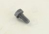 Болт форсунки MB/Iveco (5x5x10) BOSCH 2 433 456 034 (фото 4)
