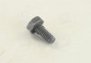 Болт форсунки MB/Iveco (5x5x10) BOSCH 2 433 456 034 (фото 3)