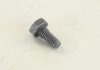 Болт форсунки MB/Iveco (5x5x10) BOSCH 2 433 456 034 (фото 2)
