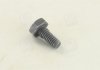 Болт форсунки MB/Iveco (5x5x10) BOSCH 2 433 456 034 (фото 1)