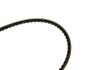 Ремень клиновидний (довж. 60-180) Contitech 10X1225 (фото 4)