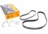 Ремень генератора Ford Fiesta/Focus 1.4/1.6i 16V 01-12 (6PK1019 ELAST+5PK690 ELAST) Contitech 6PK1019 ELAST T1 (фото 1)