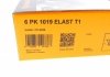 Ремень генератора Ford Fiesta/Focus 1.4/1.6i 16V 01-12 (6PK1019 ELAST+5PK690 ELAST) Contitech 6PK1019 ELAST T1 (фото 13)