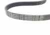 Ремень генератора Ford Fiesta/Focus 1.4/1.6i 16V 01-12 (6PK1019 ELAST+5PK690 ELAST) Contitech 6PK1019 ELAST T1 (фото 5)