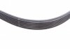 Ремень генератора Ford Fiesta/Focus 1.4/1.6i 16V 01-12 (6PK1019 ELAST+5PK690 ELAST) Contitech 6PK1019 ELAST T1 (фото 7)