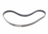 Ремень генератора Ford Fiesta/Focus 1.4/1.6i 16V 01-12 (6PK1019 ELAST+5PK690 ELAST) Contitech 6PK1019 ELAST T1 (фото 8)