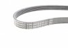 Ремень генератора Ford Fiesta/Focus 1.4/1.6i 16V 01-12 (6PK1019 ELAST+5PK690 ELAST) Contitech 6PK1019 ELAST T1 (фото 9)