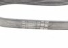 Ремень генератора Ford Fiesta/Focus 1.4/1.6i 16V 01-12 (6PK1019 ELAST+5PK690 ELAST) Contitech 6PK1019 ELAST T1 (фото 10)