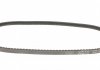 Ремень клиновидний (довж. 60-180) DAYCO 10A0775C (фото 3)