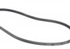 Ремень клиновидний (довж. 60-180) DAYCO 11A1030C (фото 2)