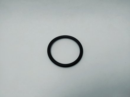 Прокладка термостата Ланос 1.6 резиновая KAP (KoreaAutoParts) 96143112 (фото 1)