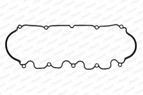 Прокладка клапанної кришки гумова Payen JN692 (фото 1)